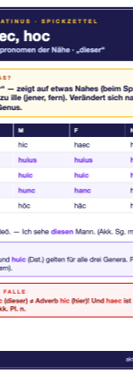 Spickzettel hic haec hoc (A6)
