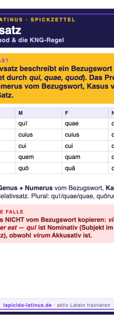 Spickzettel Relativsatz (A6)